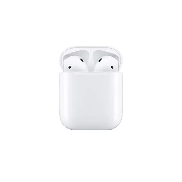 Apple AirPods 2 with Charging Case