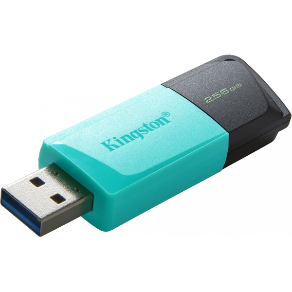 Флеш USB Kingston DataTraveler Exodia M 256GB Blackeal (DTXM/256GB), изображение 5