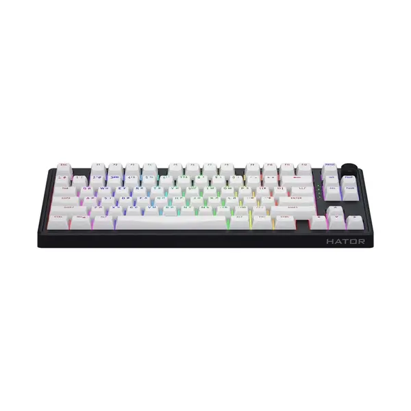 Клавіатура магнітна HATOR Skyfall 80 MAG ULTRA 8K (HTK1880UA) black-white, изображение 2